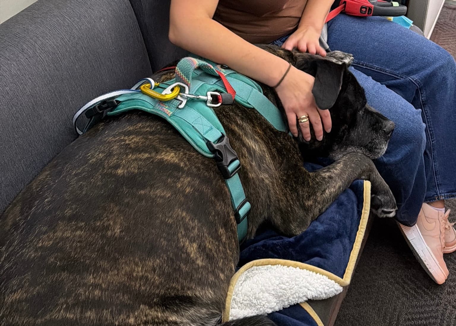 Bailey on board