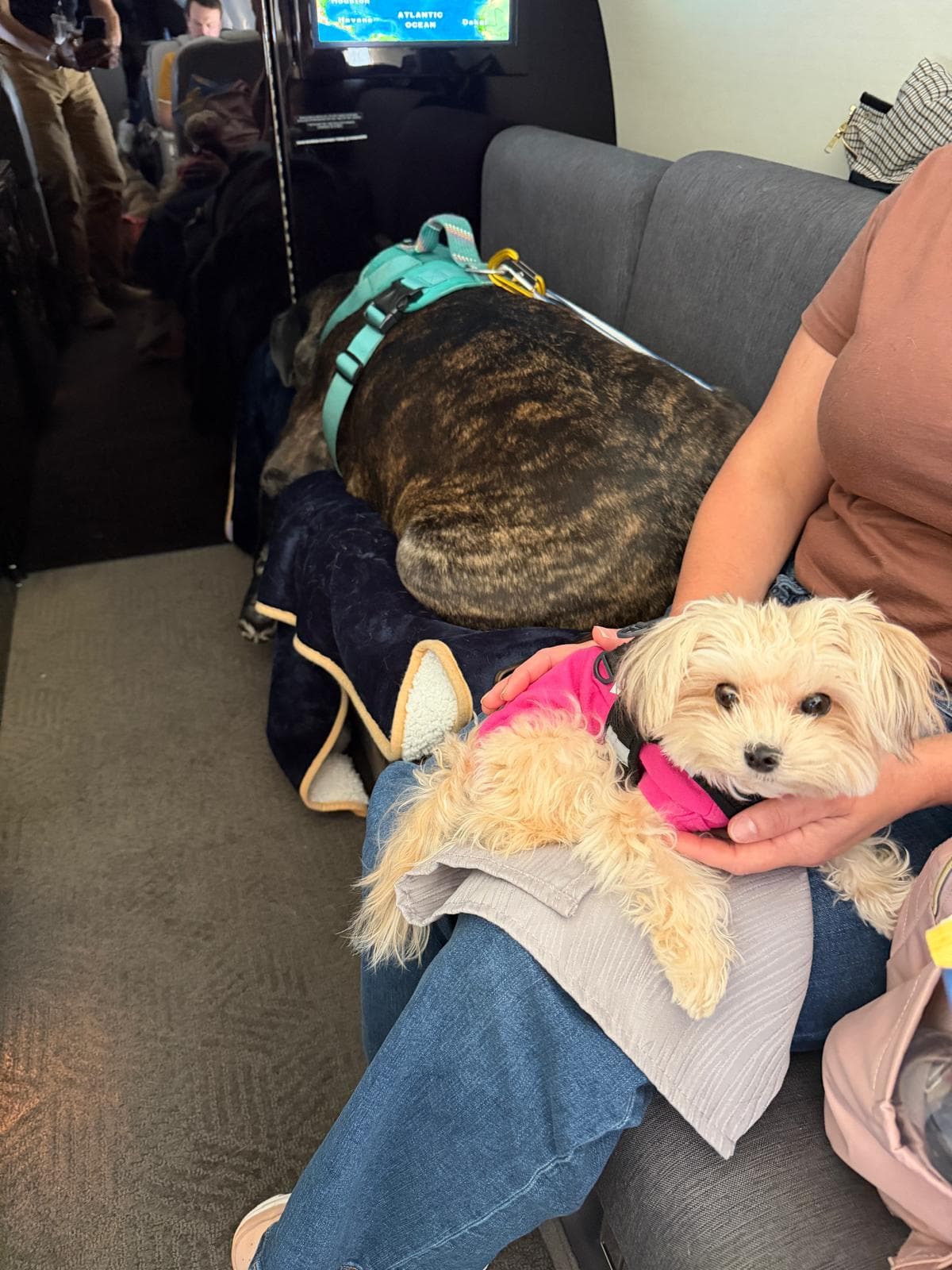 1 September – New York to London