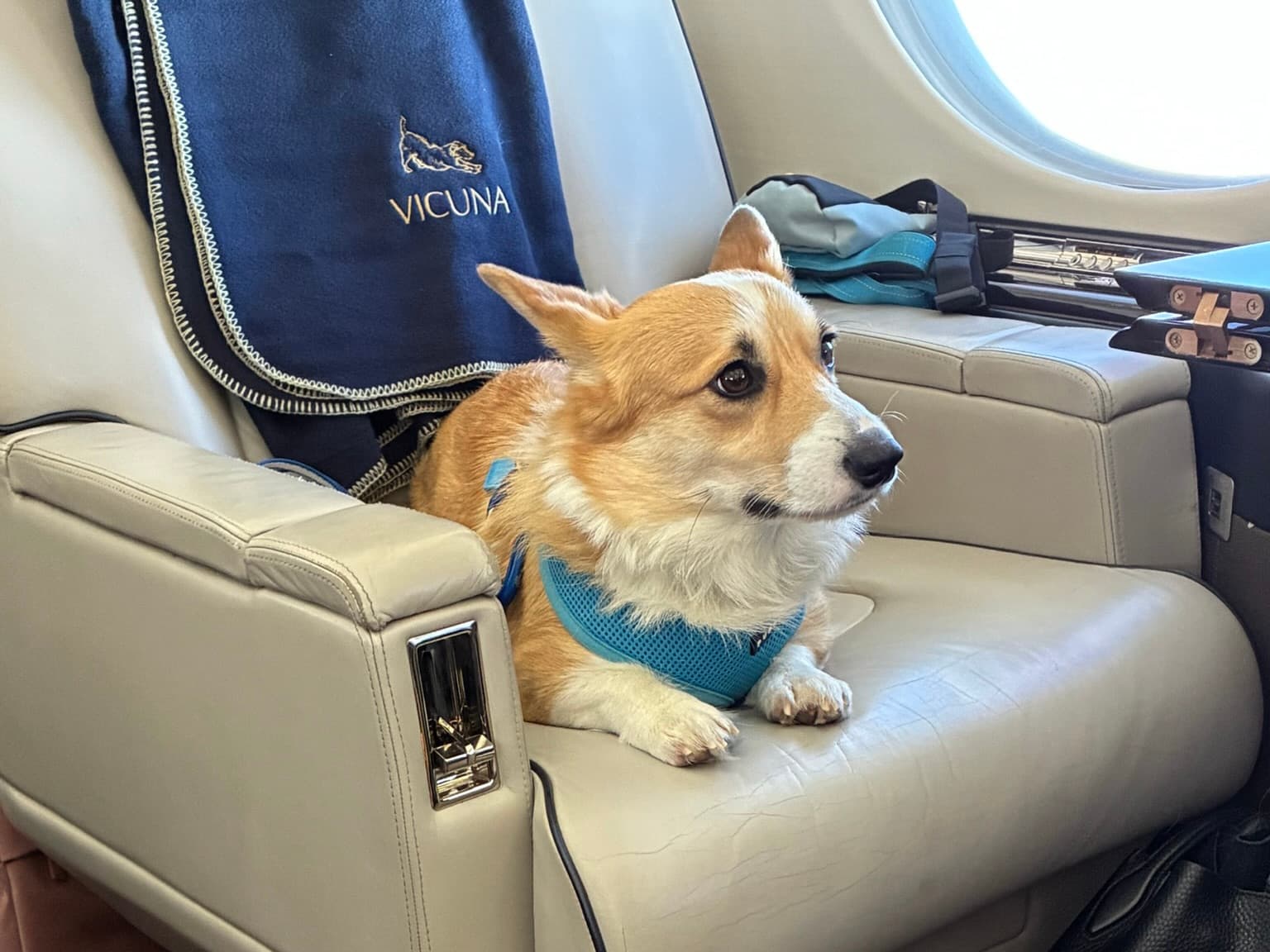 Behind the scenes: A day in the life of a Vicuna Air Concierge