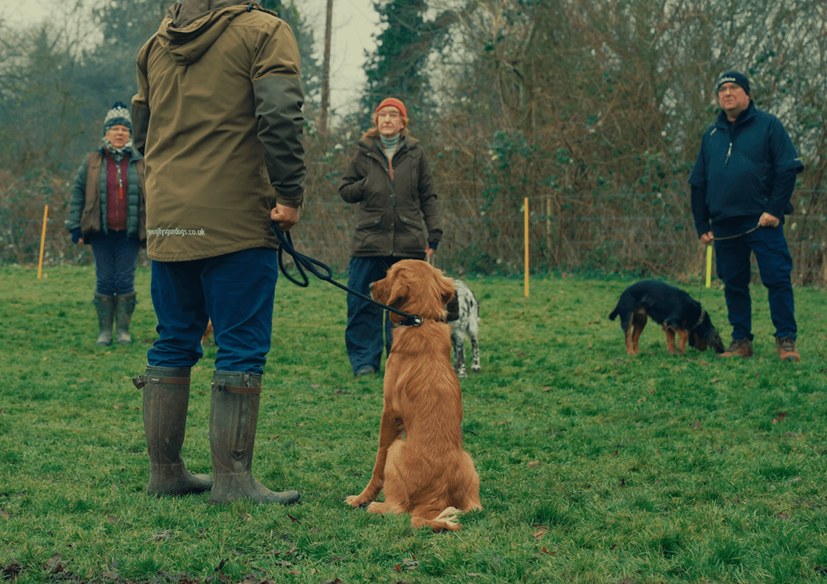 Darren Gill, dog trainer