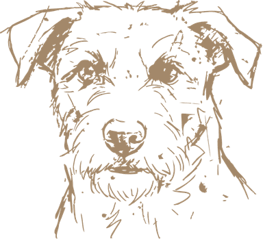 drawing of a dog stretching